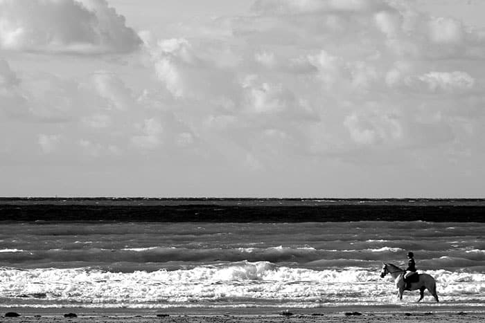 Vous consultez actuellement cheval-mer