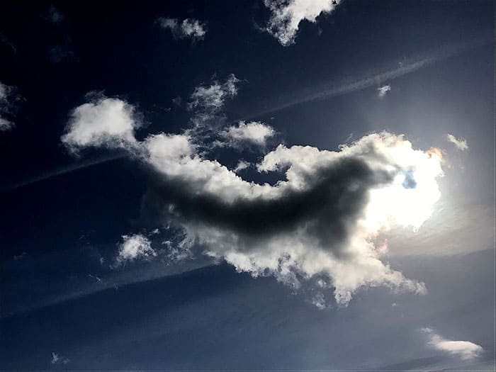 You are currently viewing cheval nuage