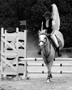 Lire la suite à propos de l’article Cheval