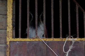 Lire la suite à propos de l’article prison