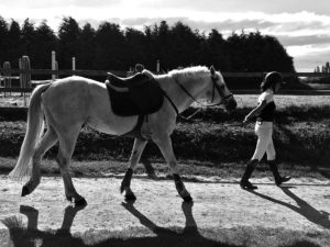 Lire la suite à propos de l’article Cheval