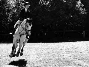 Lire la suite à propos de l’article Cheval volant