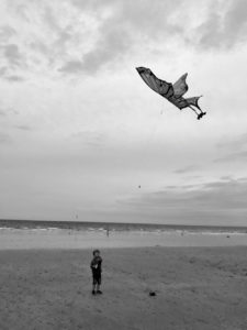 Lire la suite à propos de l’article Cerf-volant