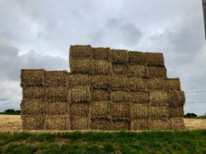 Lire la suite à propos de l’article Foin