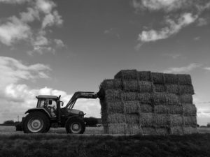 Lire la suite à propos de l’article Tracto-Foin