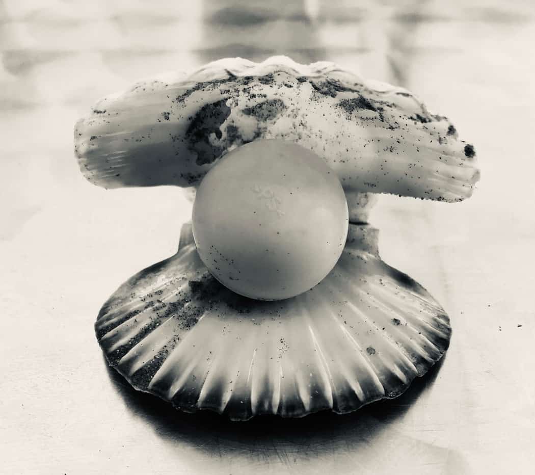 You are currently viewing Coquillage