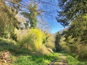 Lire la suite à propos de l’article Nature