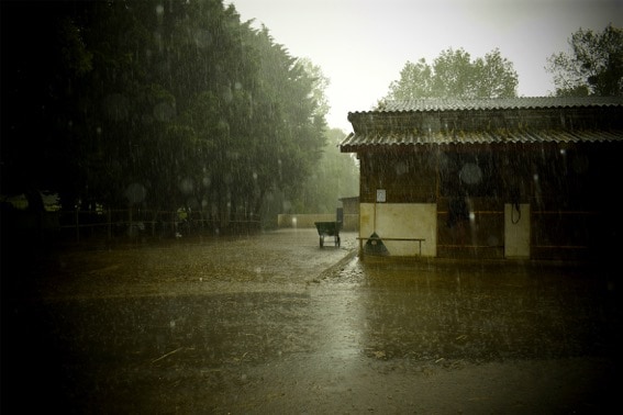 Vous consultez actuellement Ferme sous la pluie