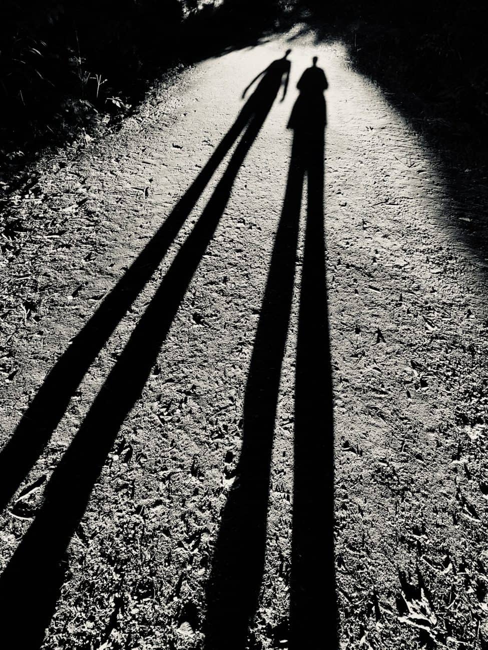 Vous consultez actuellement Long shadow