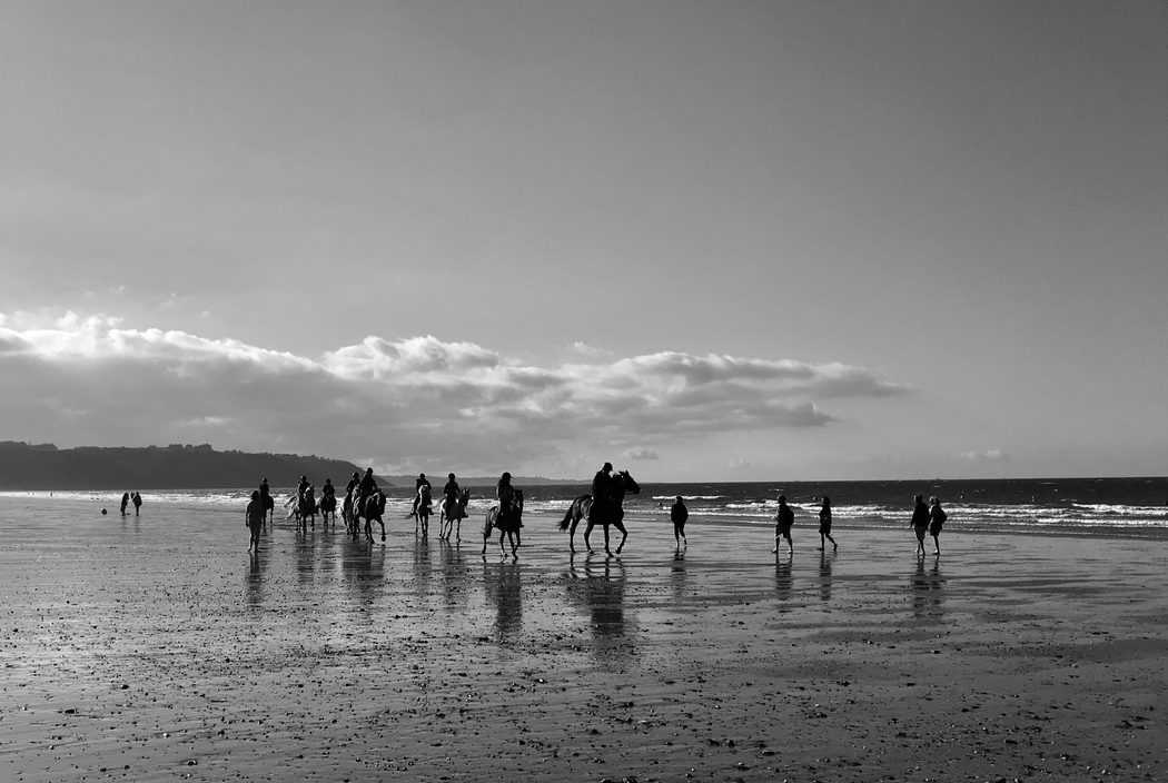 You are currently viewing Chevaux sur la plage