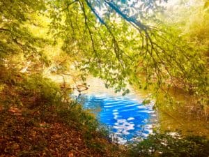 Lire la suite à propos de l’article Rivière