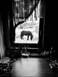 Lire la suite à propos de l’article Poney encadré