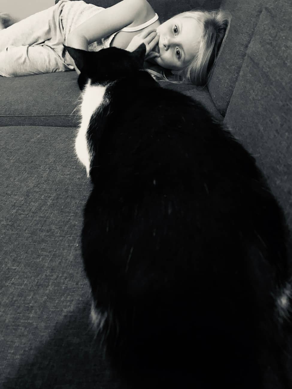 You are currently viewing La chat & l&rsquo;enfant
