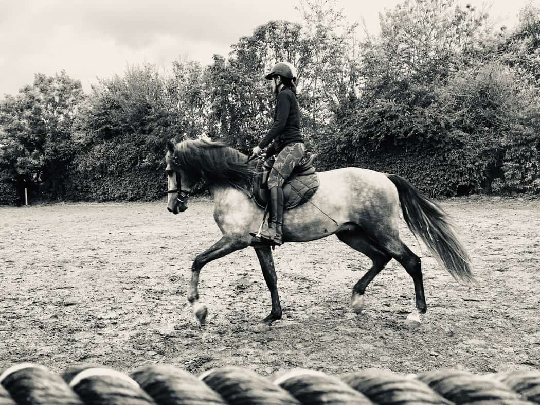 You are currently viewing Cavalière