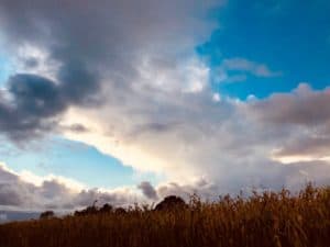 Lire la suite à propos de l’article Ciel