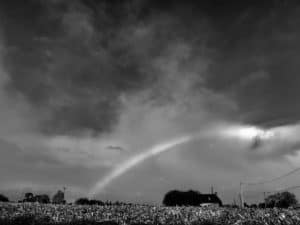 Lire la suite à propos de l’article Ciel