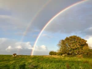 Lire la suite à propos de l’article Arc en ciel