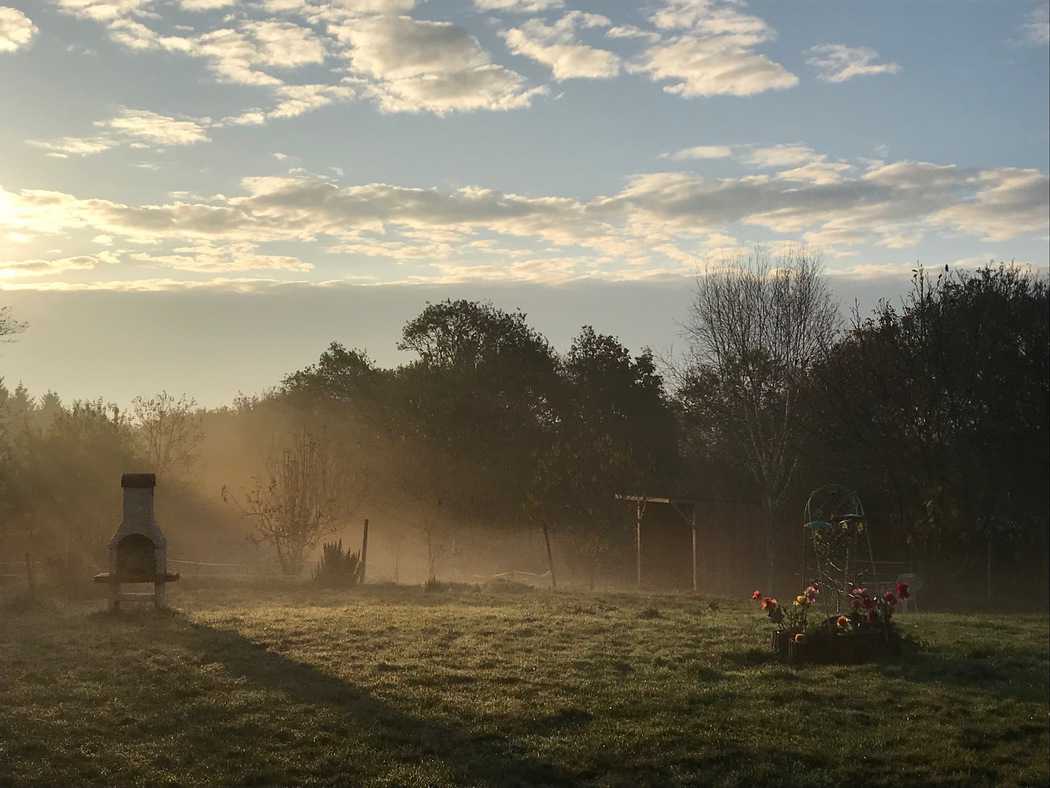 You are currently viewing Brume