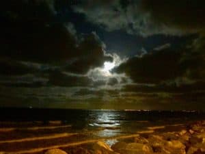 Lire la suite à propos de l’article Lune de mer