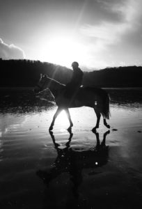Lire la suite à propos de l’article Cheval