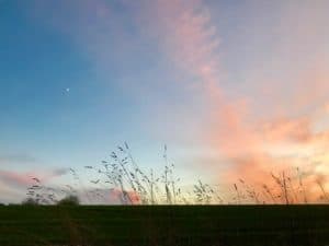 Lire la suite à propos de l’article Ciel