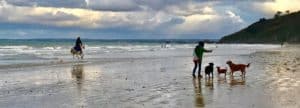 Lire la suite à propos de l’article Plage