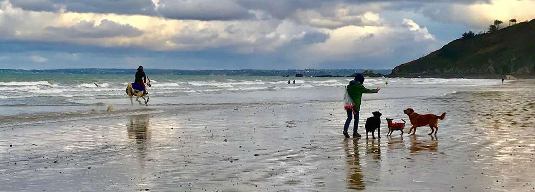 You are currently viewing Plage