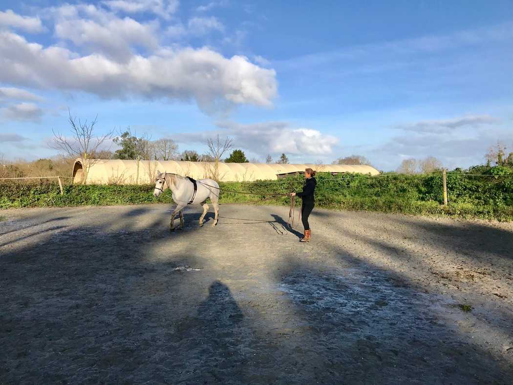 You are currently viewing cheval