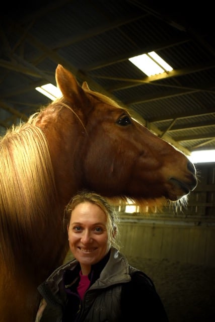 You are currently viewing cheval