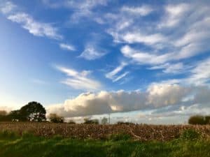 Lire la suite à propos de l’article Ciel