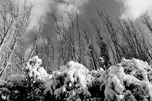 You are currently viewing Neige