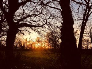 Lire la suite à propos de l’article Soleil