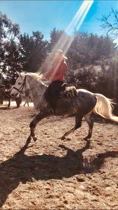 Lire la suite à propos de l’article Cheval