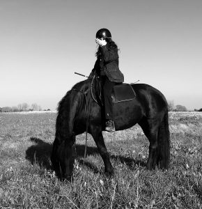 Lire la suite à propos de l’article Cheval