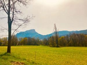 Lire la suite à propos de l’article Campagne