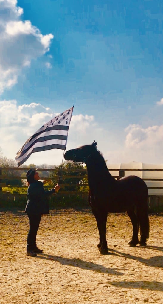 You are currently viewing Breizh cheval