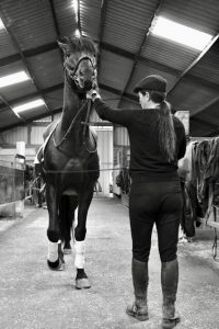 Lire la suite à propos de l’article Cheval