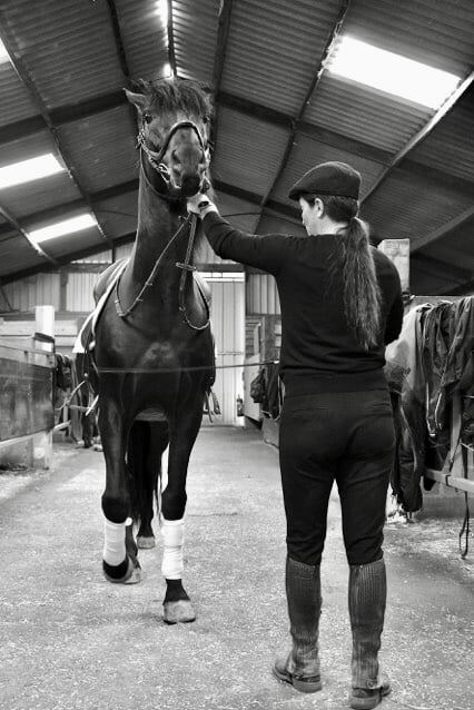 You are currently viewing Cheval