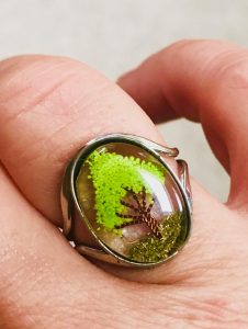 Lire la suite à propos de l’article Bague