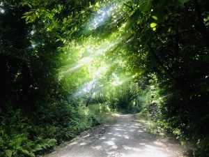 Lire la suite à propos de l’article Nature