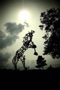 Lire la suite à propos de l’article Cheval Metal