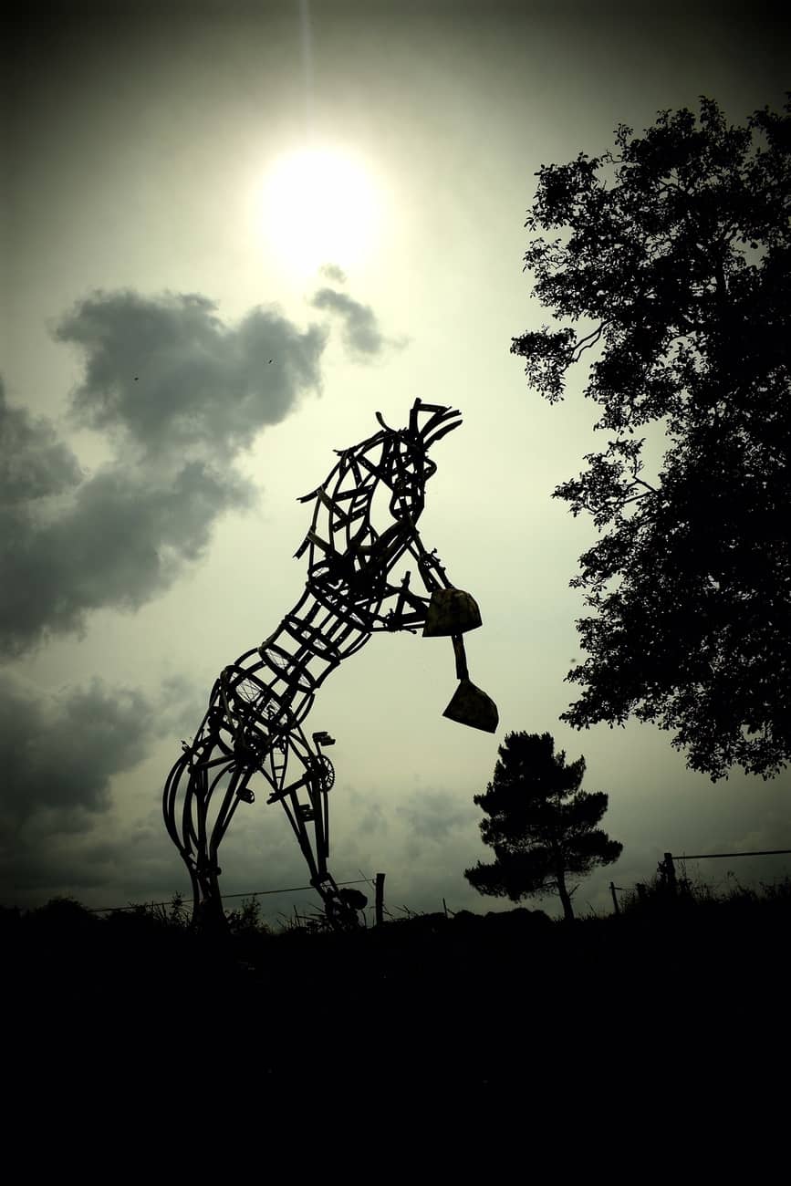 You are currently viewing Cheval Metal