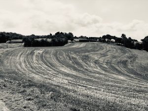 Lire la suite à propos de l’article Photo 8634