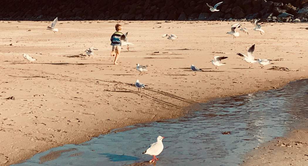 You are currently viewing Plage