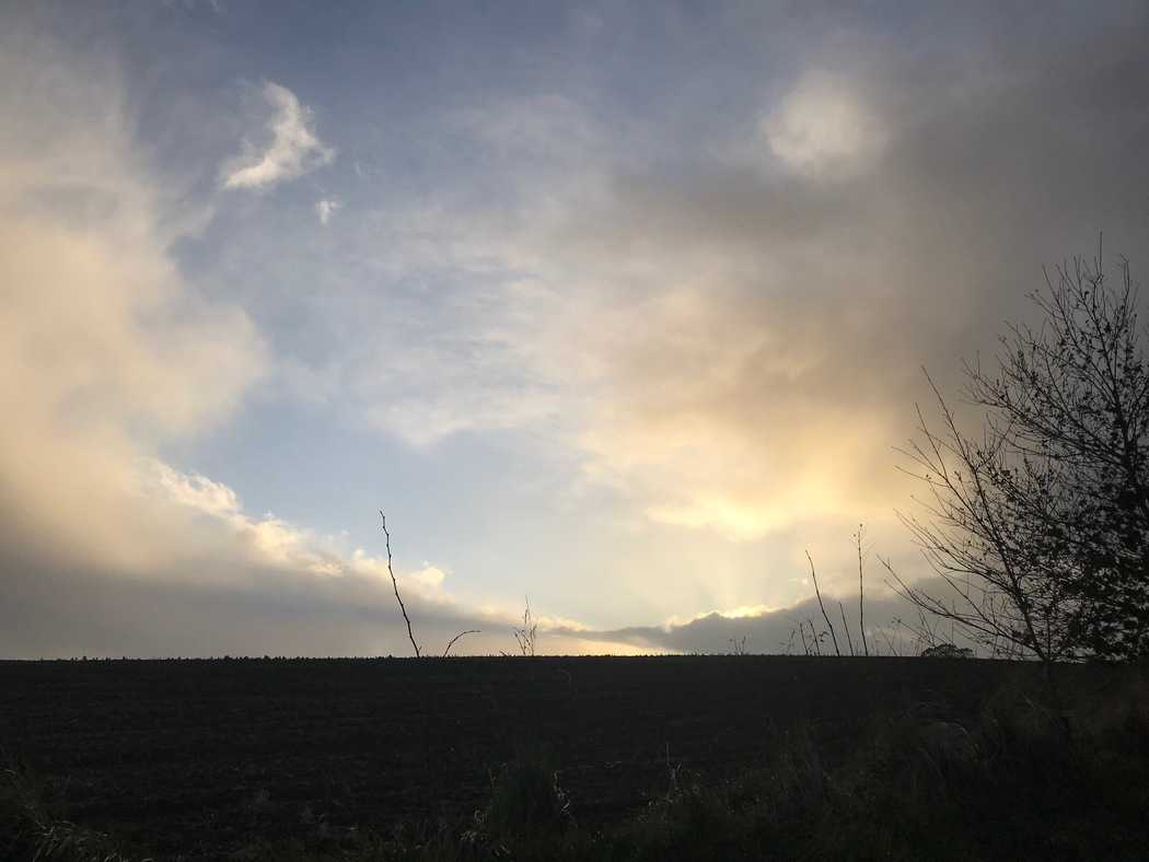 You are currently viewing Paysage