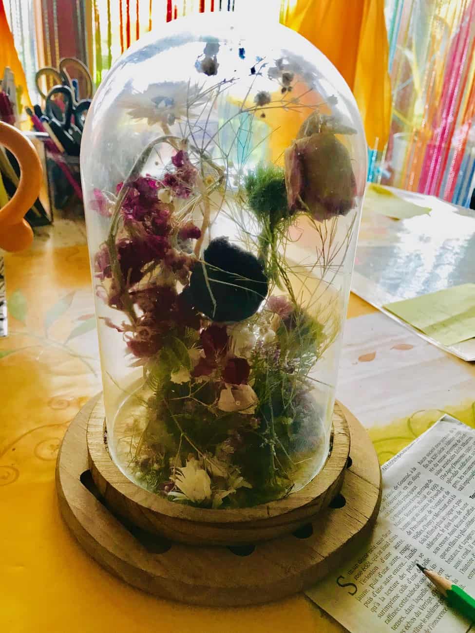 You are currently viewing Fleurs