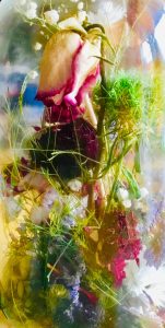 Lire la suite à propos de l’article Fleurs