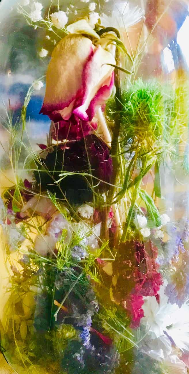 You are currently viewing Fleurs