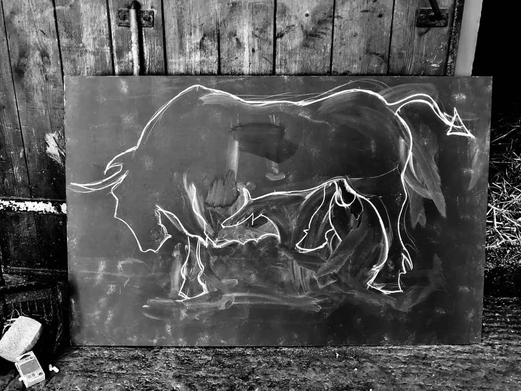 You are currently viewing Bull