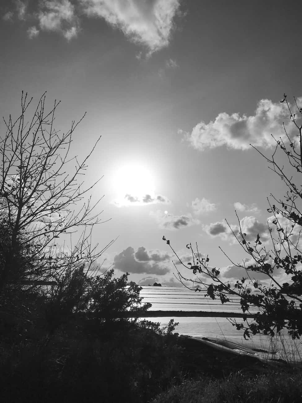 You are currently viewing Paysage